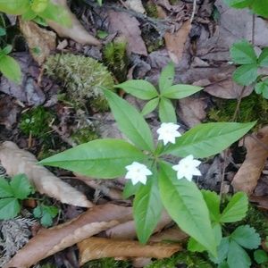 Meet your Posher, Raquel